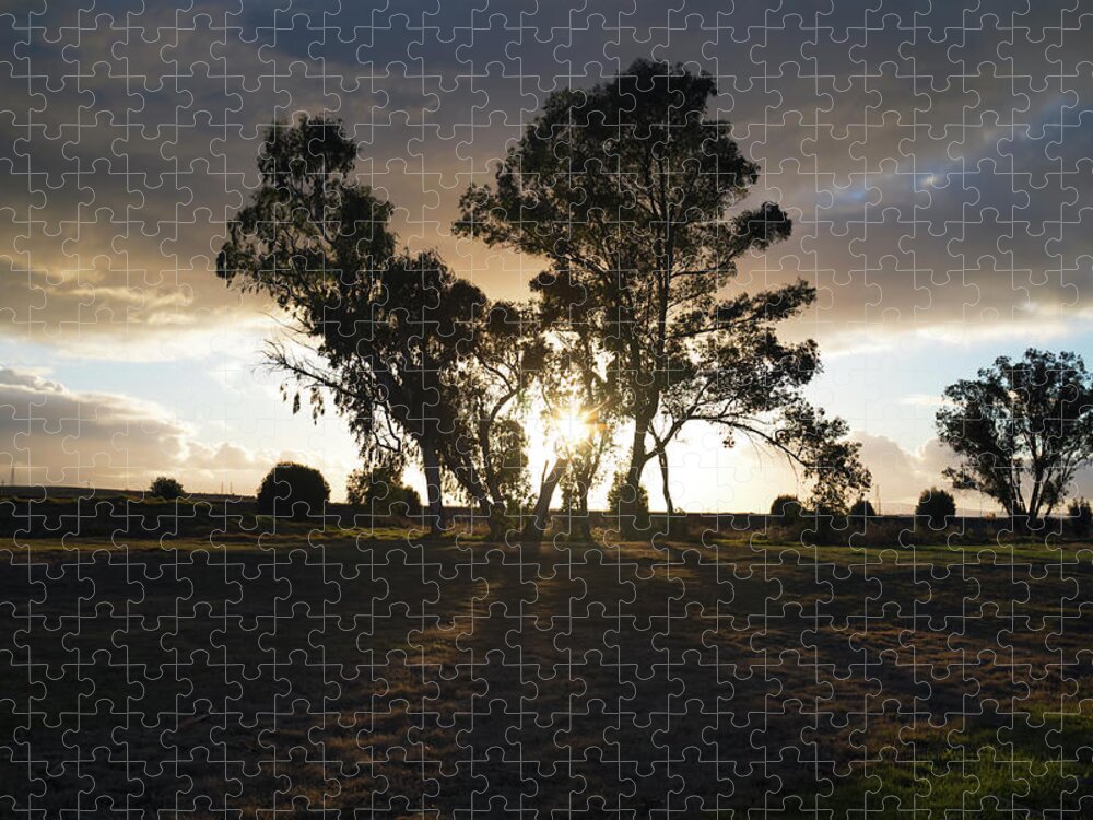 Hayward Jigsaw Puzzle featuring the photograph When It's Worth It by Laurie Search