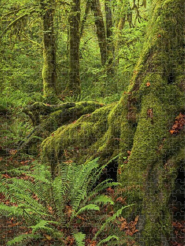 Washington Jigsaw Puzzle featuring the photograph When You Are Loved - Hoh Rainforest by Alexander Kunz