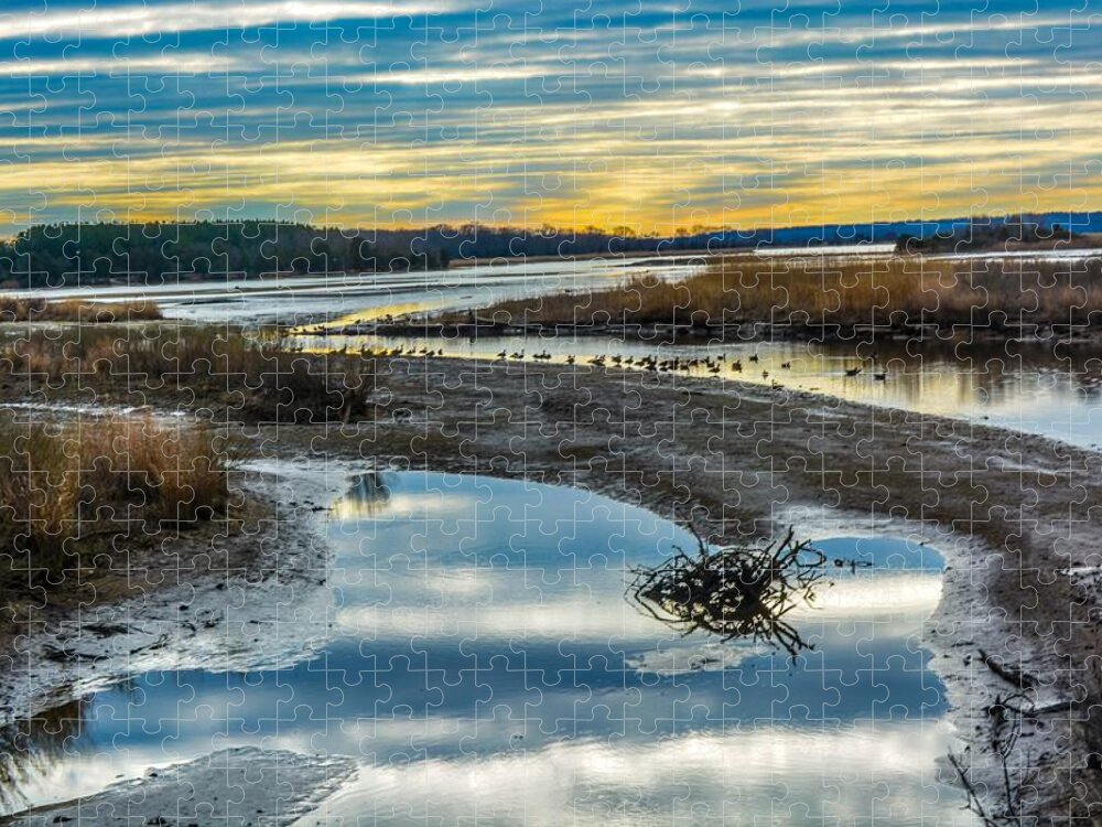 River Jigsaw Puzzle featuring the photograph Where the River Bends by Addison Likins