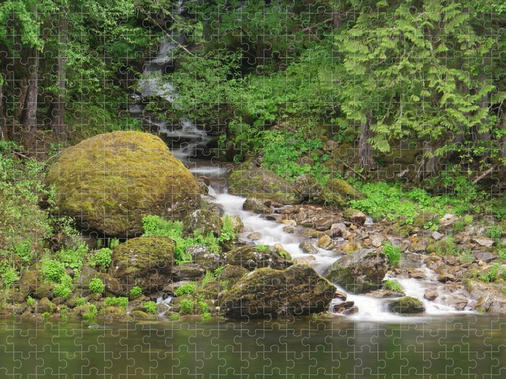 Rivers Jigsaw Puzzle featuring the photograph Where the stream joins the river by Jeff Swan