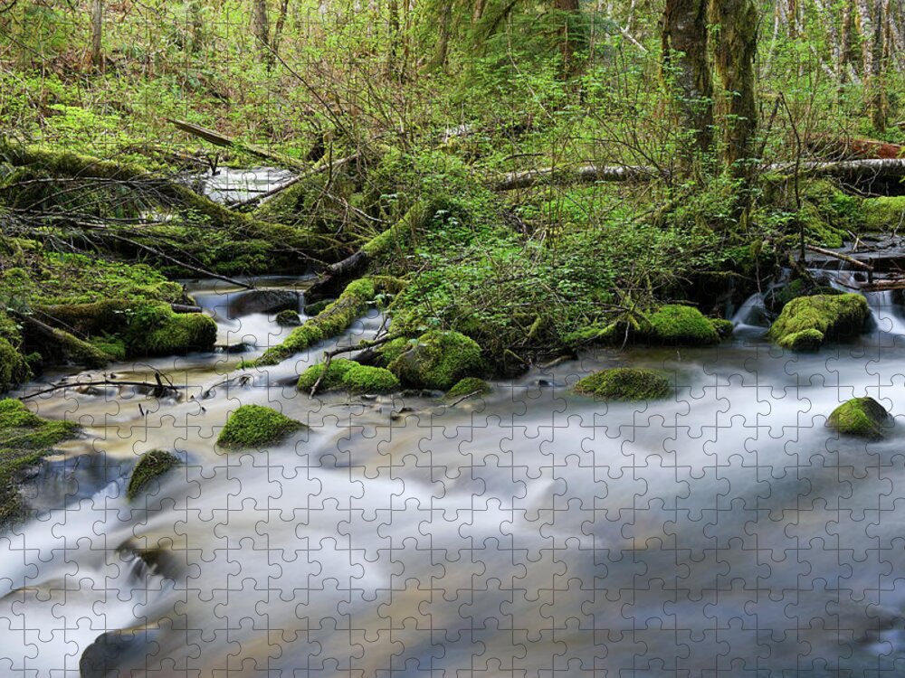 River Jigsaw Puzzle featuring the photograph Where two streams join by Jeff Swan