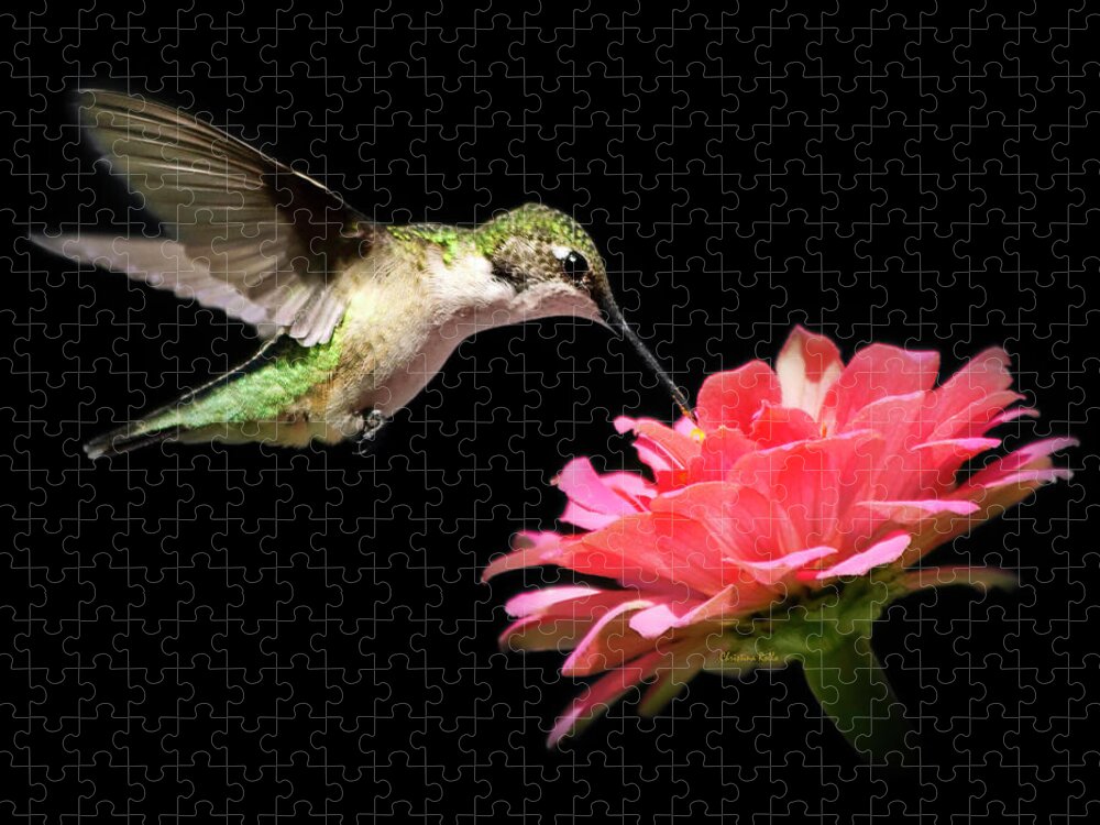 Hummingbirds Jigsaw Puzzle featuring the photograph Whispering Hummingbird Square by Christina Rollo