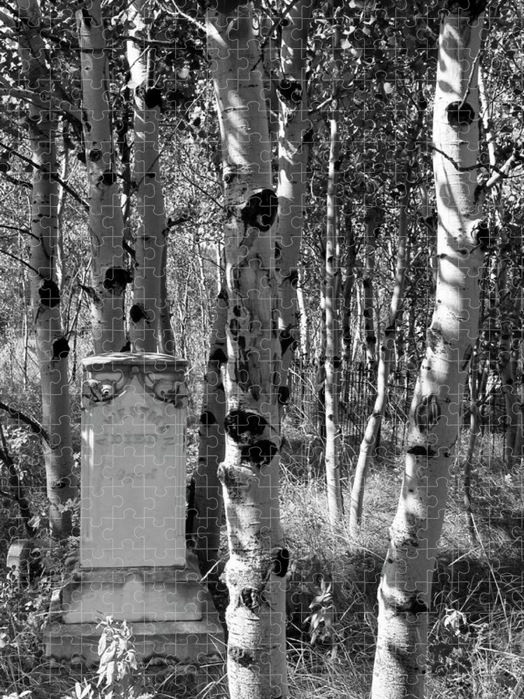 Headstone Jigsaw Puzzle featuring the photograph Whispering Trees Cemetery by Cathy Anderson