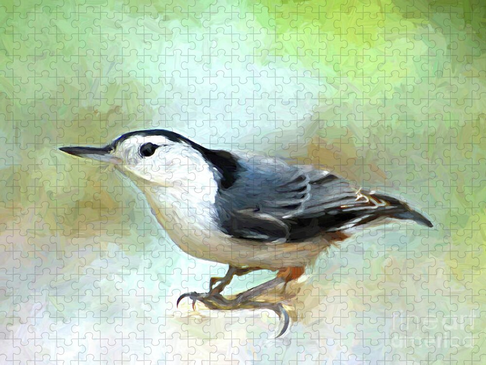 Bird Jigsaw Puzzle featuring the photograph White-breasted Nuthatch Bird Art by Kerri Farley