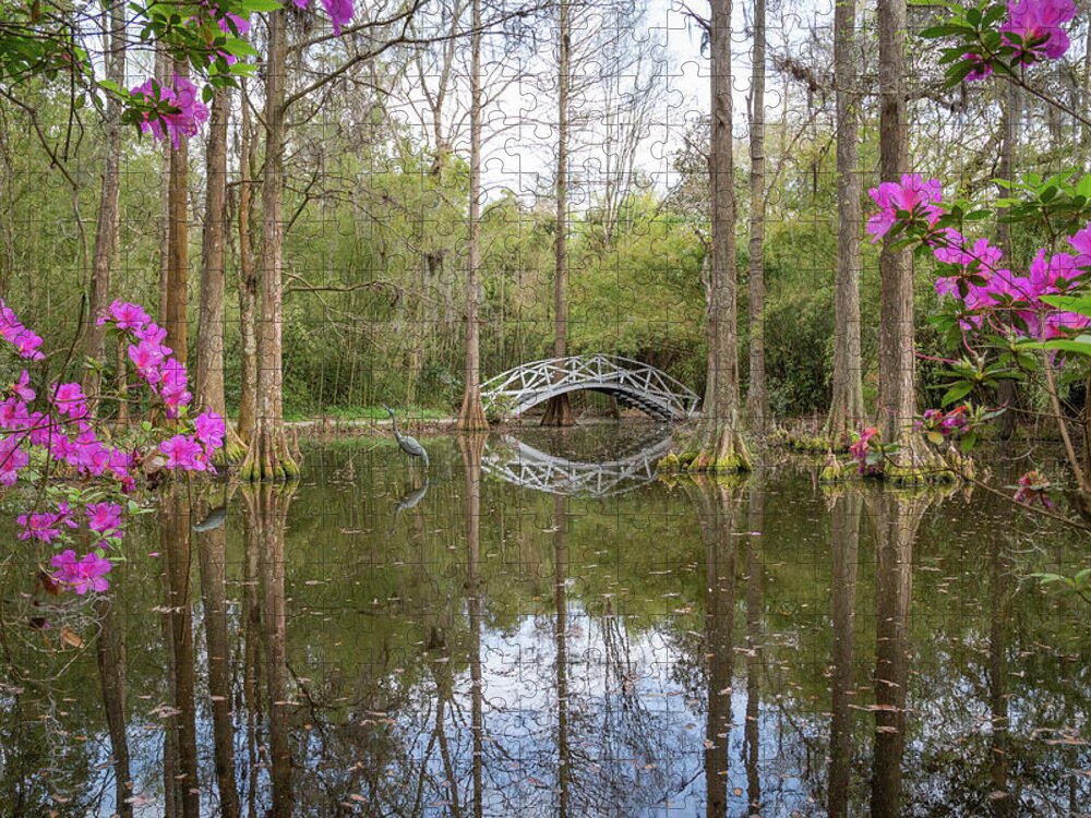 Bridge Jigsaw Puzzle featuring the photograph White Bridge Framed by Spring Blooms by Cindy Robinson