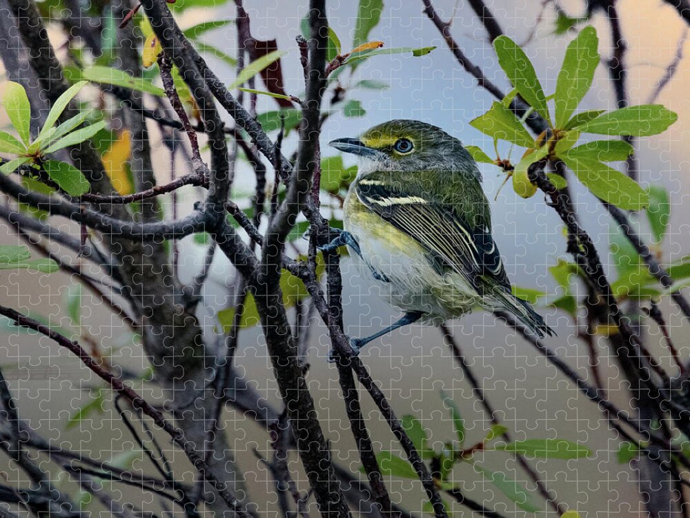 Vireo Jigsaw Puzzle featuring the photograph White-eyed Vireo by Jaki Miller