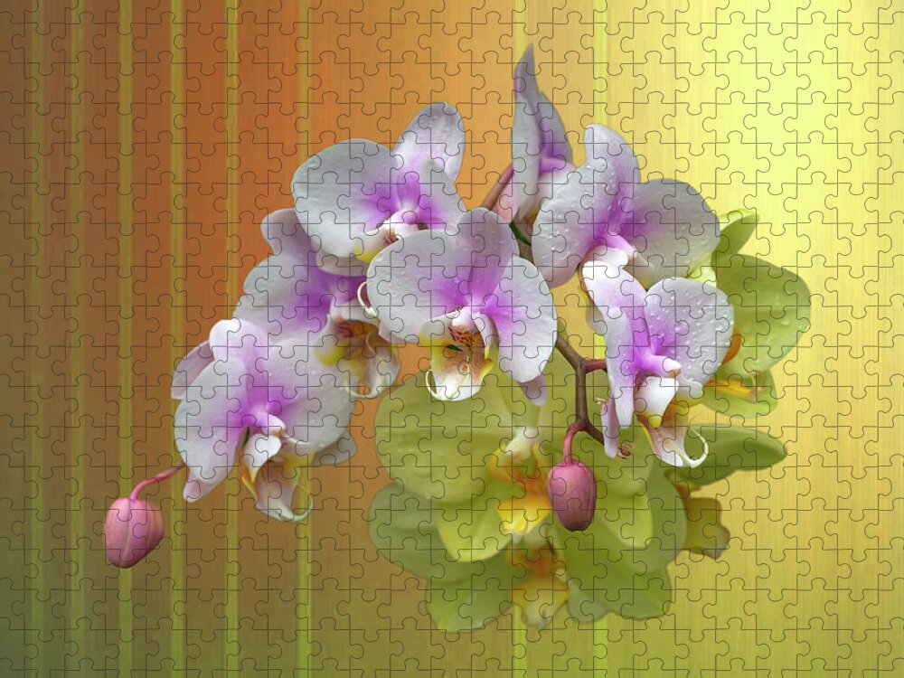 White Moth Orchids Jigsaw Puzzle featuring the photograph White Moth Orchids by Cate Franklyn