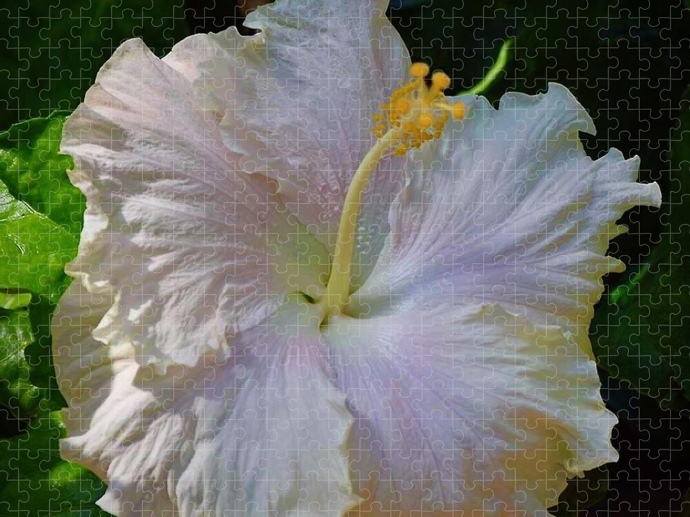 Art Jigsaw Puzzle featuring the photograph White Pearl Hibiscus by Jeannie Rhode