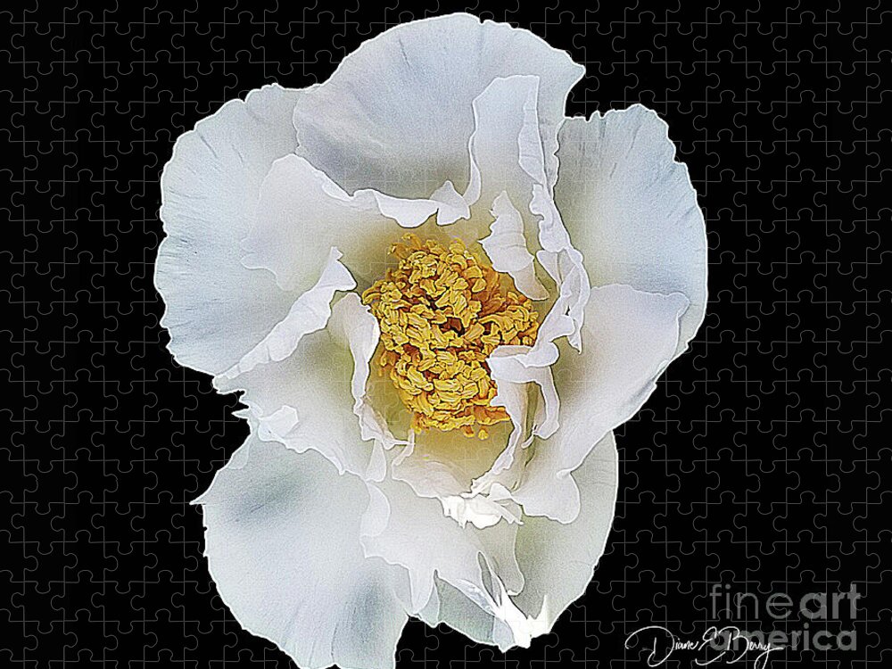Diane Berry Jigsaw Puzzle featuring the drawing White Peony by Diane E Berry