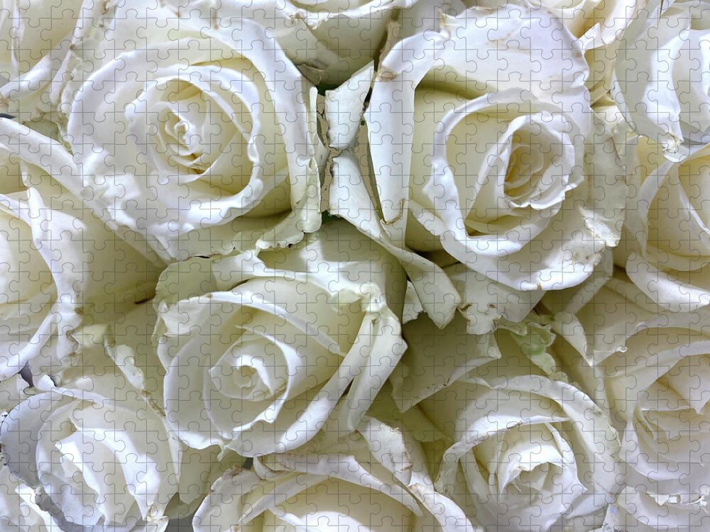 White Roses Jigsaw Puzzle featuring the photograph White Roses by Karen Zuk Rosenblatt