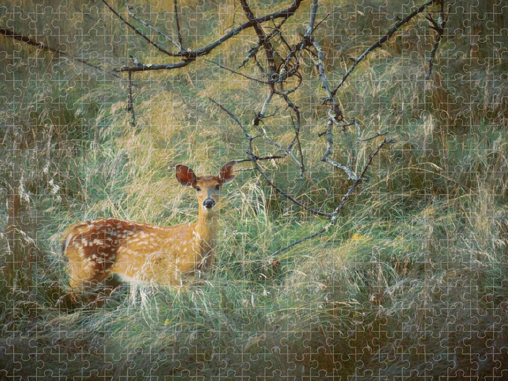 Deer Jigsaw Puzzle featuring the photograph White Tailed Fawn in the Tall Grass by Jason Fink