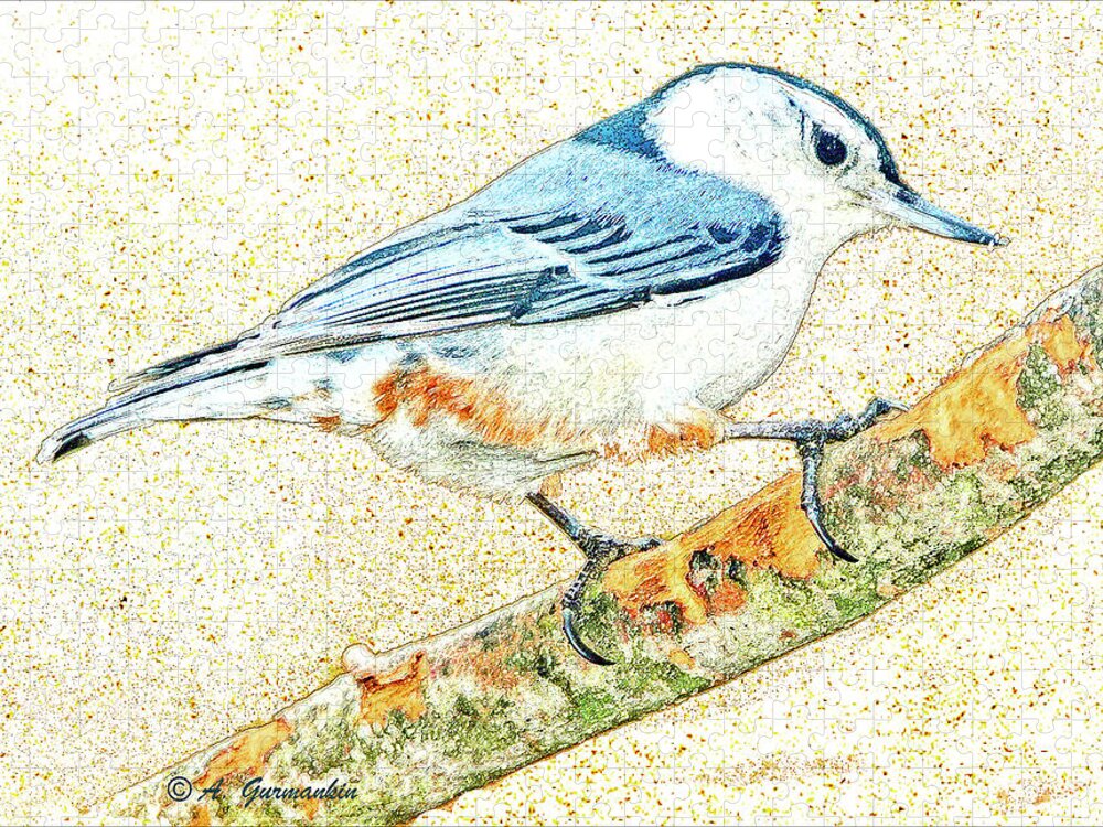 Horizontal Jigsaw Puzzle featuring the photograph Whitebreasted Nuthatch by A Macarthur Gurmankin