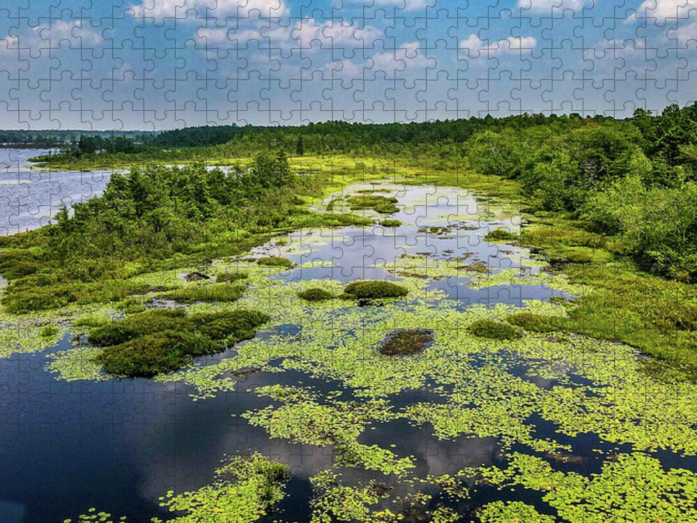 Grass Jigsaw Puzzle featuring the photograph Whitesbog Summer Landscape by Louis Dallara