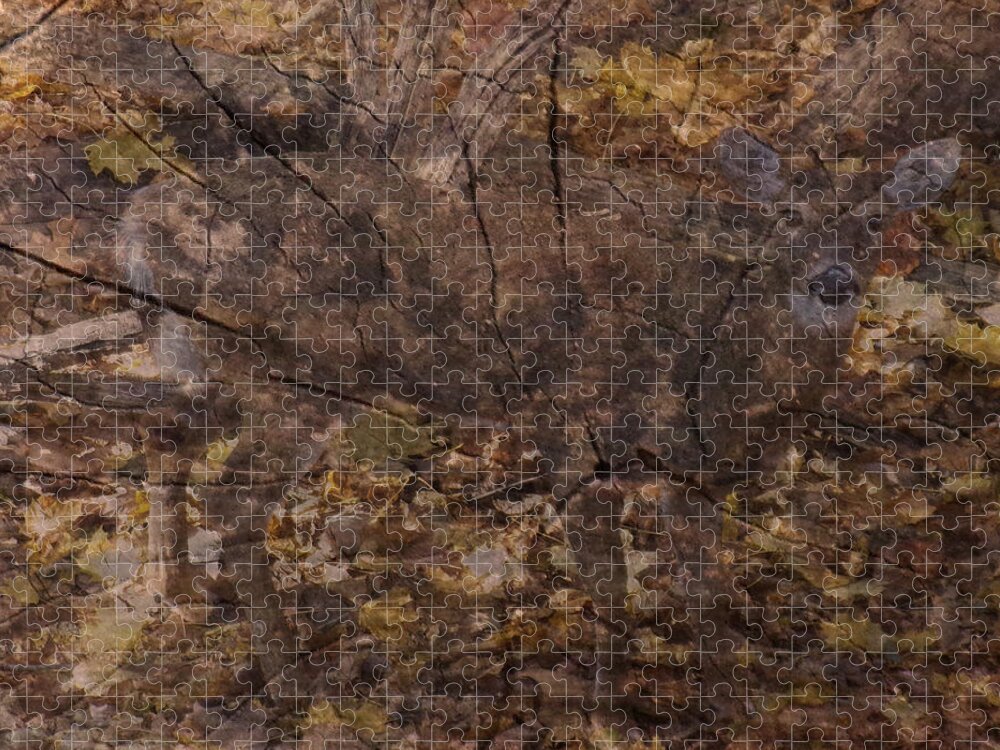 Deer Jigsaw Puzzle featuring the mixed media Whitetail Deer by Christopher Reed