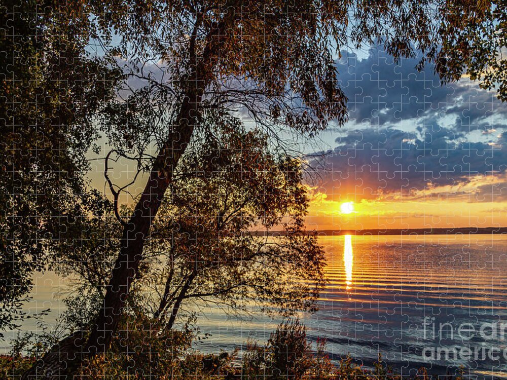 Sunrise Jigsaw Puzzle featuring the photograph Who Needs the Tropics by William Norton