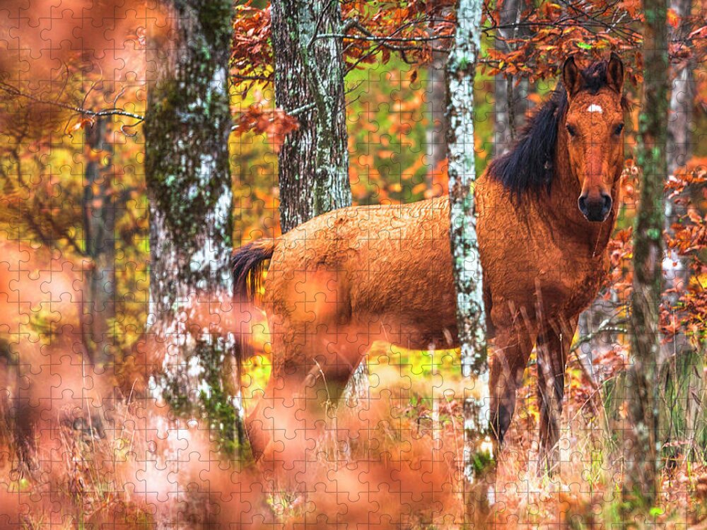 Animals Jigsaw Puzzle featuring the photograph Wild by Evgeni Dinev