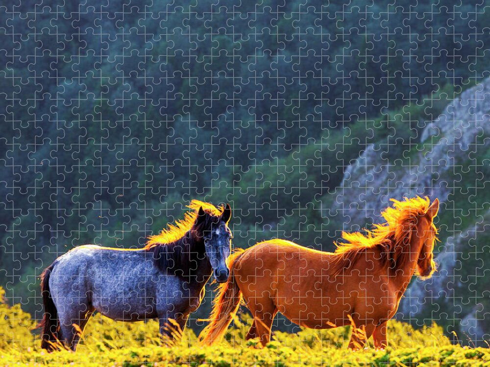 Balkan Mountains Jigsaw Puzzle featuring the photograph Wild Horses by Evgeni Dinev