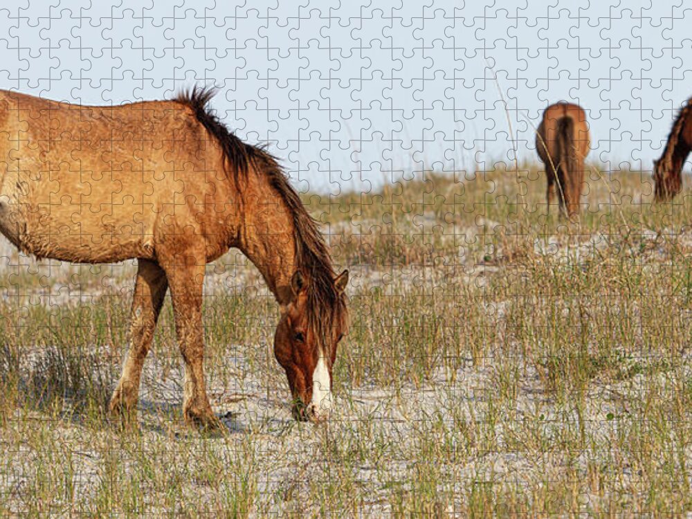 Wild Horses Jigsaw Puzzle featuring the photograph Wild Horses of the Southern Outer Banks of North Carolina by Bob Decker