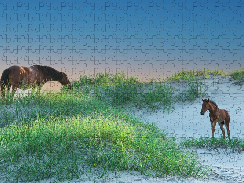 Mare Jigsaw Puzzle featuring the photograph Wild Horses by Skip Tribby