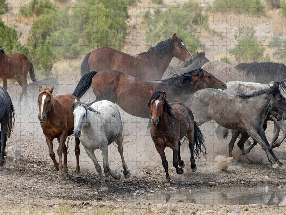 Wild Horses Jigsaw Puzzle featuring the photograph Wild Horses Utah by Wesley Aston