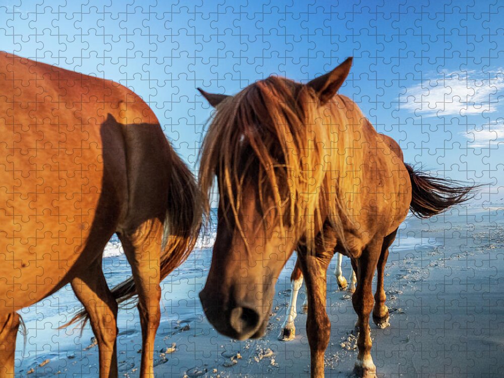 5-places Jigsaw Puzzle featuring the photograph Wild Pony Head Shot Assateague Island by Louis Dallara