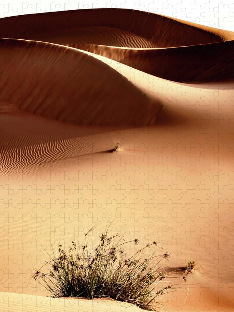Uae Jigsaw Puzzle featuring the photograph Wild Sand Dunes - Persian Orange by Philippe HUGONNARD