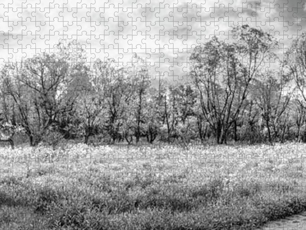 Carolina Jigsaw Puzzle featuring the photograph Wildflower Meadow Panorama Black and White by Debra and Dave Vanderlaan