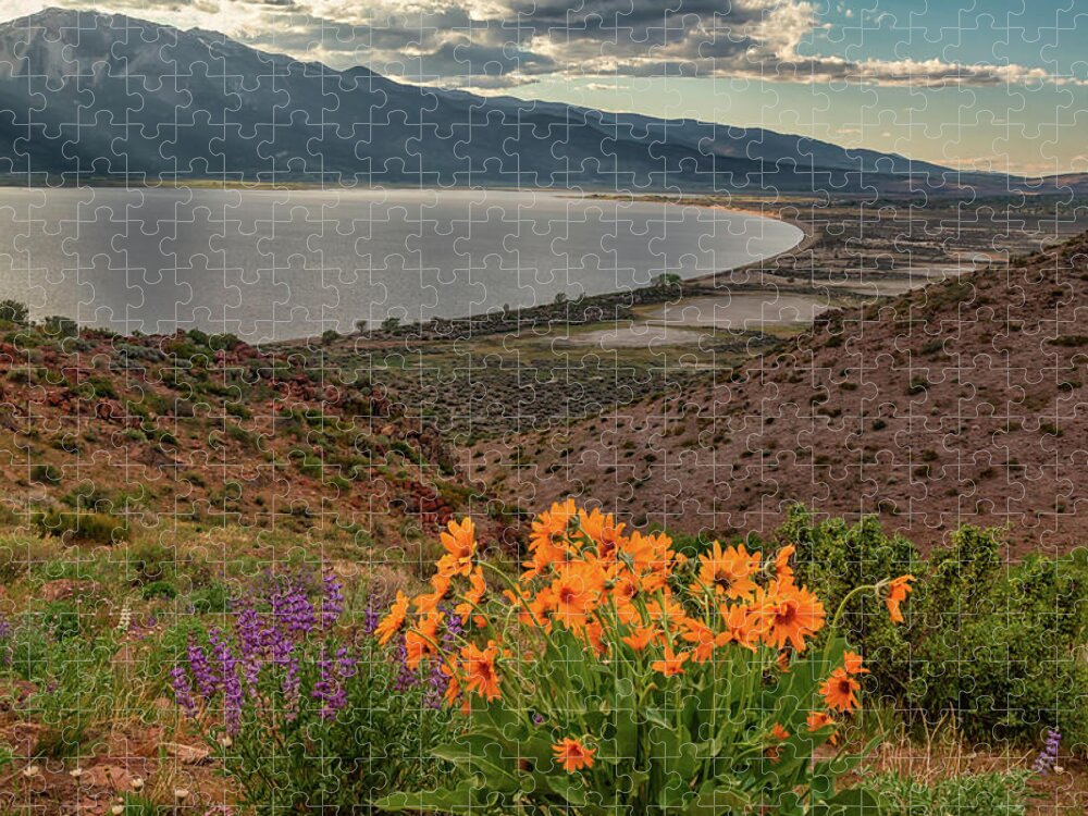 Nevada Jigsaw Puzzle featuring the photograph Wildflowers Above Big Washoe by Marc Crumpler