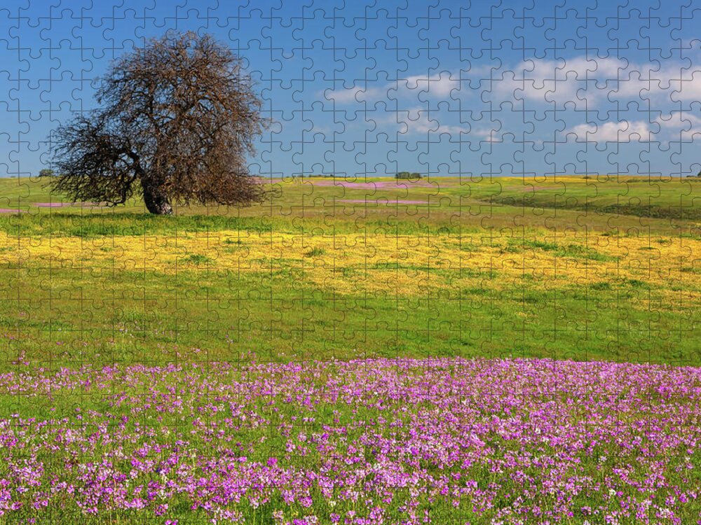 California Wildflowers Jigsaw Puzzle featuring the photograph Wildflowers and Oak Tree - Spring in Central California by Ram Vasudev
