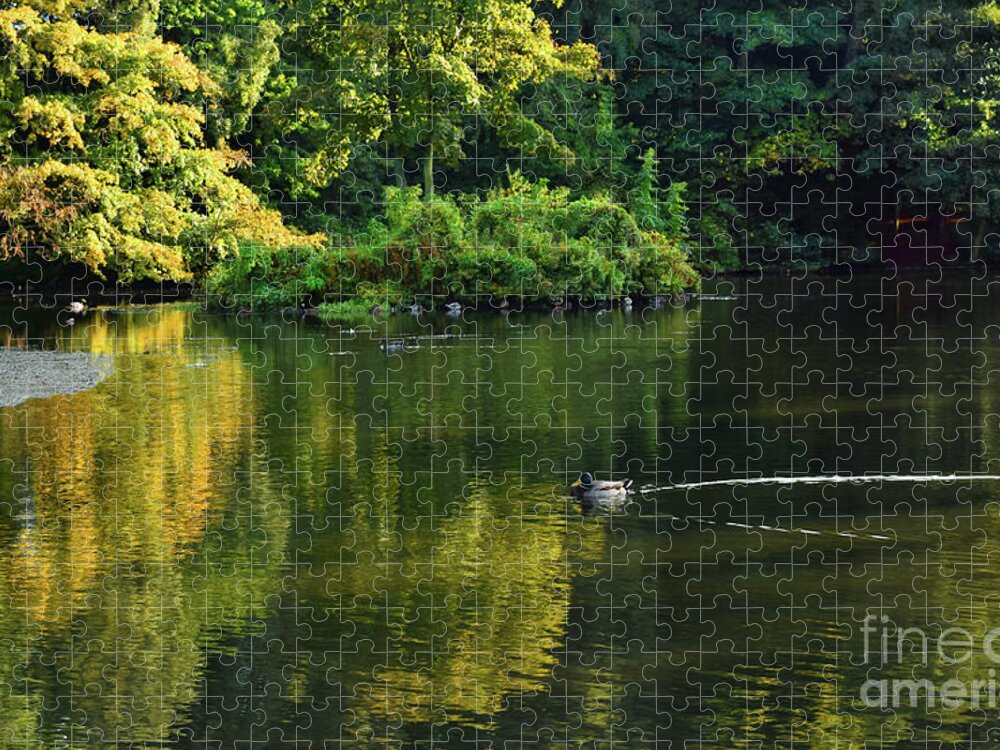 Landscape Jigsaw Puzzle featuring the photograph Wildfowl on The Loch - Riccarton Estate by Yvonne Johnstone