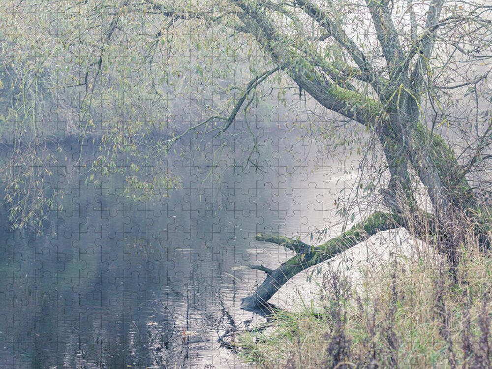 Willow Tree Jigsaw Puzzle featuring the photograph Willow tree overhanging the river on a misty day by Anita Nicholson