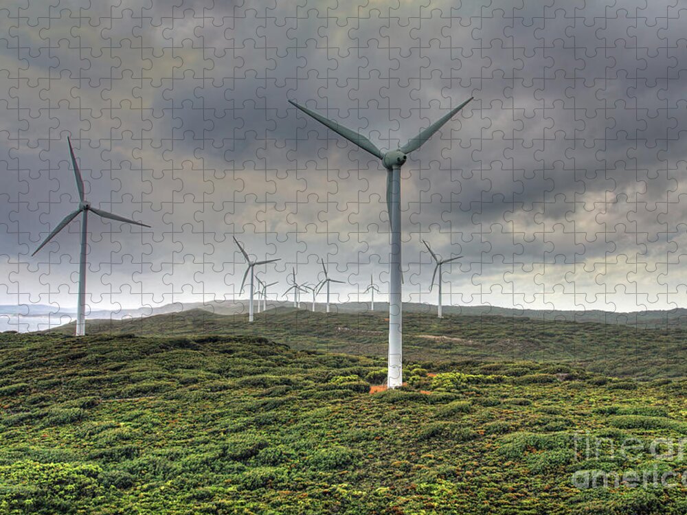 Wind Farm Jigsaw Puzzle featuring the photograph Wind Farm, Albany, Western Australia by Elaine Teague