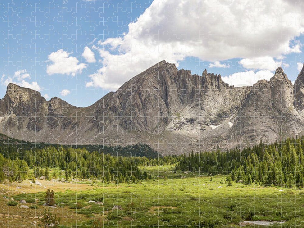 Wind River Jigsaw Puzzle featuring the photograph Wind River View by Aaron Spong