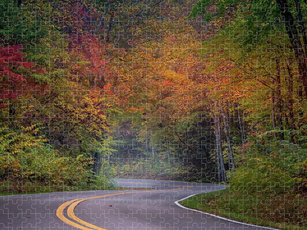 Fall Colors Jigsaw Puzzle featuring the photograph Winding Road by Darrell DeRosia