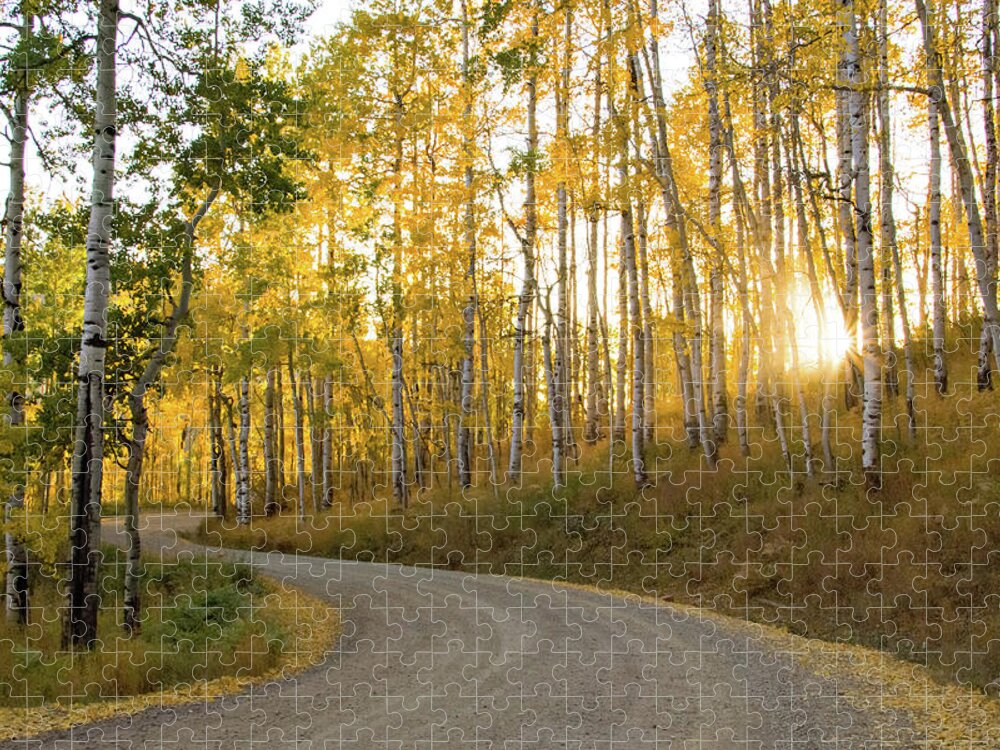 Colorado Jigsaw Puzzle featuring the photograph Winding Road by Wesley Aston