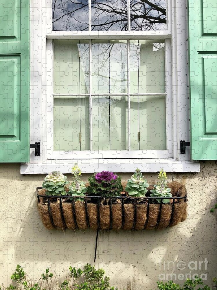 Window Jigsaw Puzzle featuring the photograph Window Box by Flavia Westerwelle
