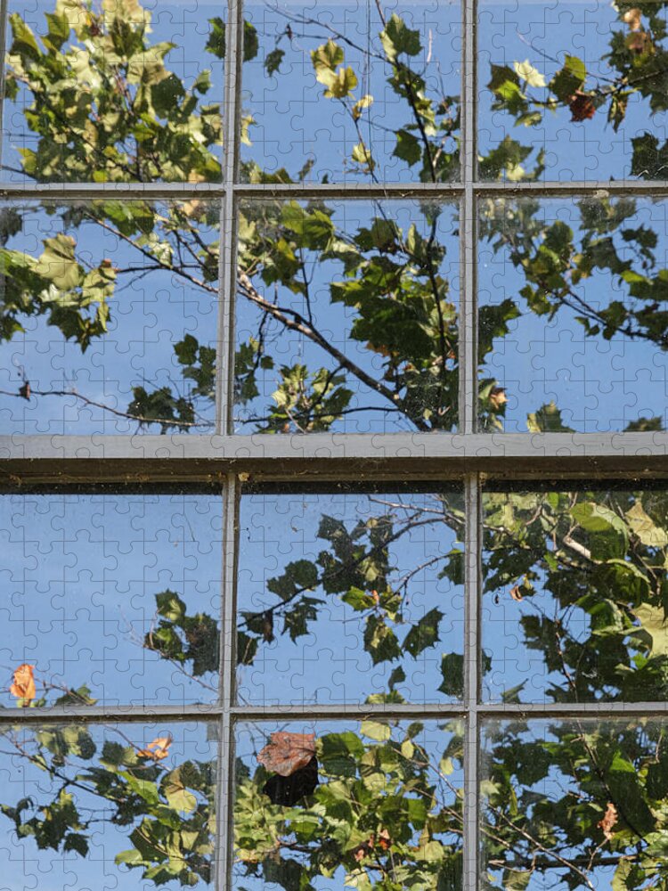 Window Jigsaw Puzzle featuring the photograph Window Time by Tony Locke