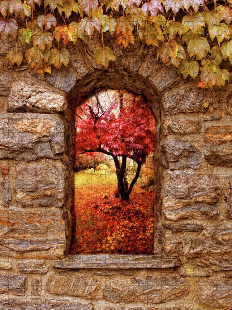 Nature Jigsaw Puzzle featuring the photograph Window to Autumn by Jessica Jenney