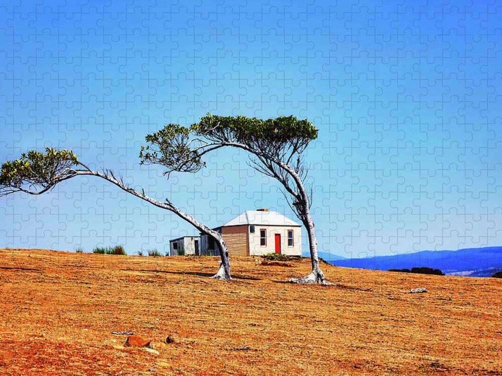Tantalising Jigsaw Puzzle featuring the photograph Windswept Trees Maria Island by Lexa Harpell