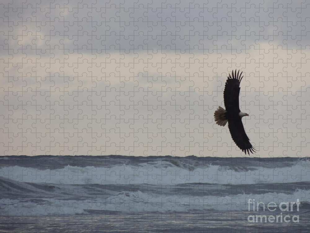 Ocean Jigsaw Puzzle featuring the photograph Wings and Waves by Julie Rauscher