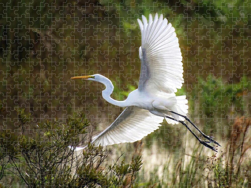 Great White Egret Jigsaw Puzzle featuring the photograph Wings by Rebecca Herranen