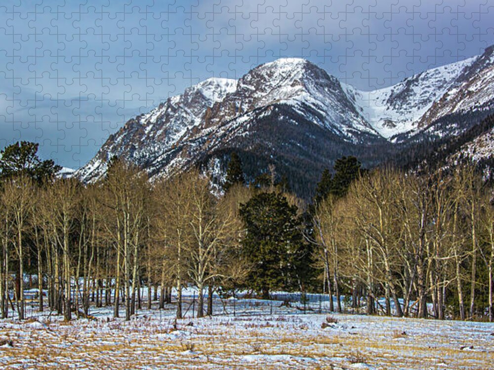 Rocky Mountain National Park Jigsaw Puzzle featuring the photograph Winter Aspens by Douglas Wielfaert