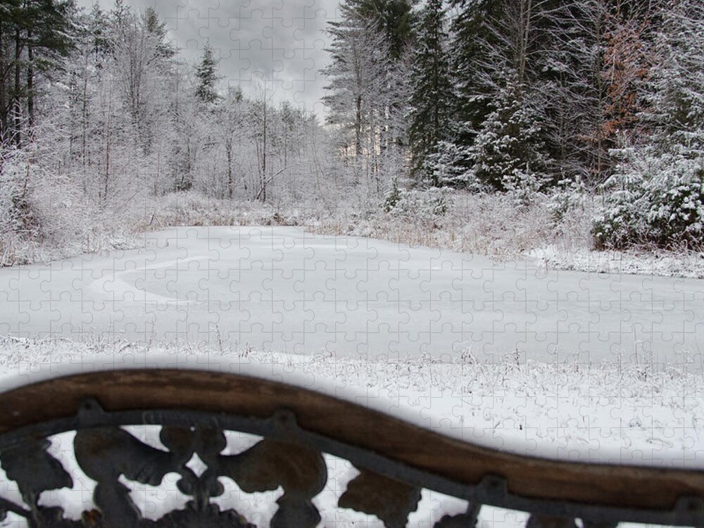 Winter Jigsaw Puzzle featuring the photograph Winter at the Pond by Moira Law