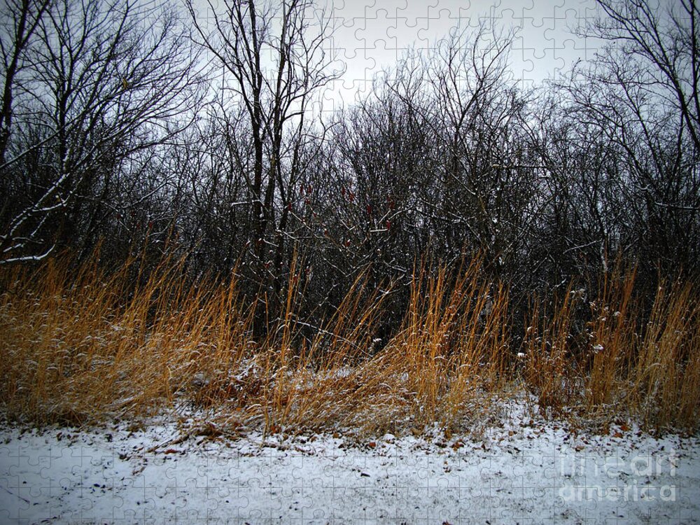 Nature Jigsaw Puzzle featuring the photograph Winter Beauty in the Woods by Frank J Casella