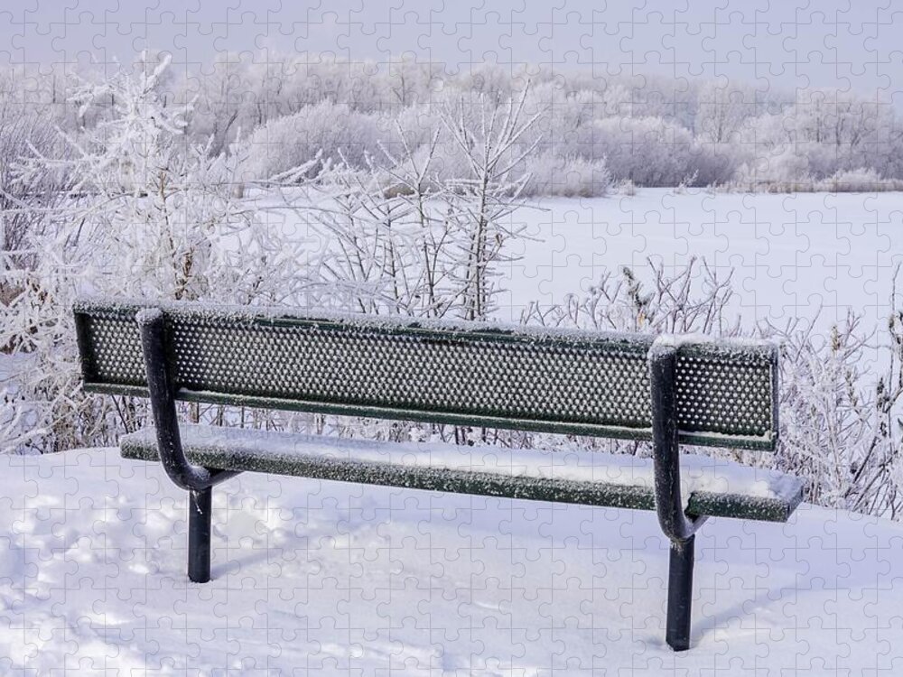 Lake Jigsaw Puzzle featuring the photograph Winter Bench by Susan Rydberg