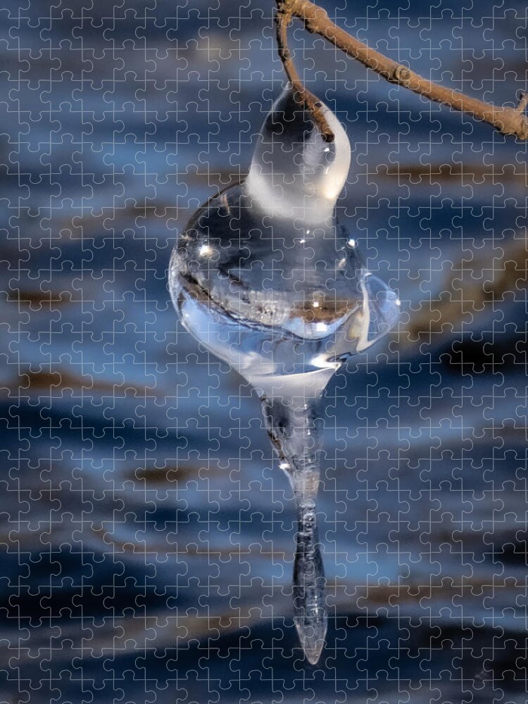 Ornament Jigsaw Puzzle featuring the photograph Winter Birding by Linda Bonaccorsi