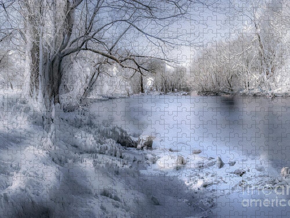 Snow Jigsaw Puzzle featuring the photograph Winter Blues on Ice by Shelia Hunt