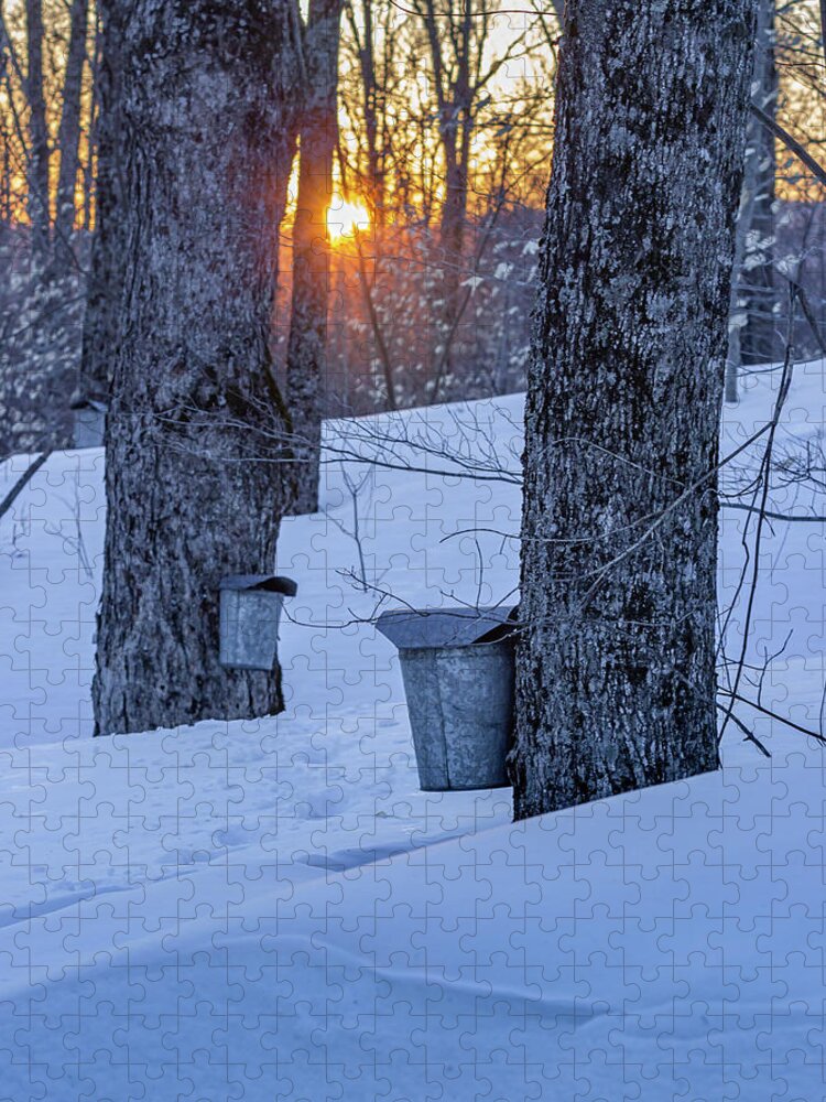 Winter Jigsaw Puzzle featuring the photograph Winter Buckets by Tim Kirchoff
