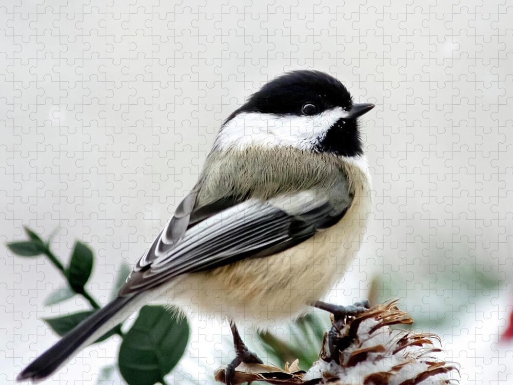 Winter Jigsaw Puzzle featuring the photograph Winter Chickadee Square by Christina Rollo