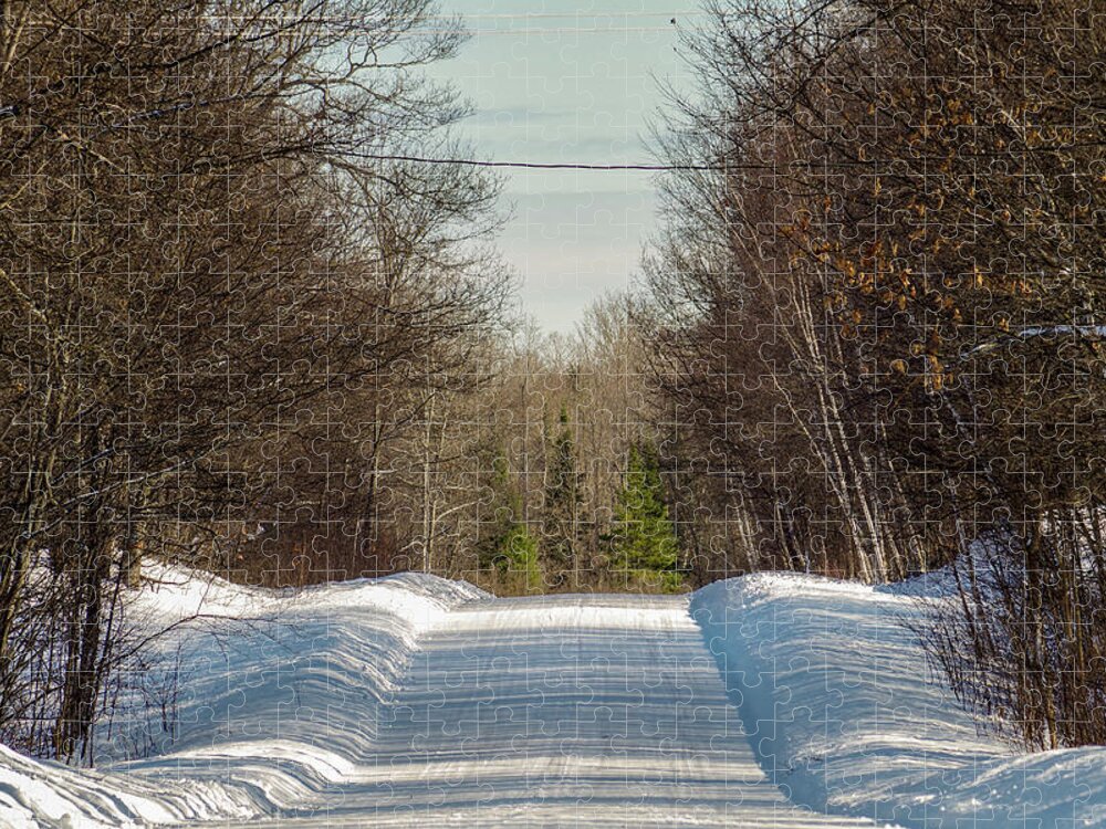 No People Jigsaw Puzzle featuring the photograph Winter Country Road by Nathan Wasylewski